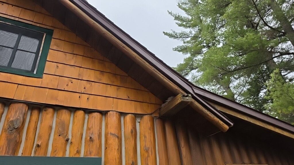 woodpacker damage found during a home inspection in northern Michigan (Charlevoix County)