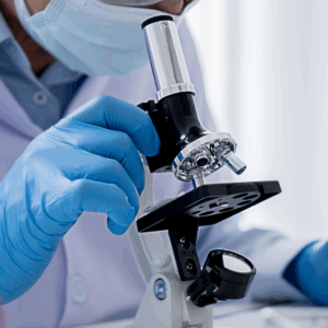 microscope Certified lab analysis for mold testing in Gaylord and surrounding areas