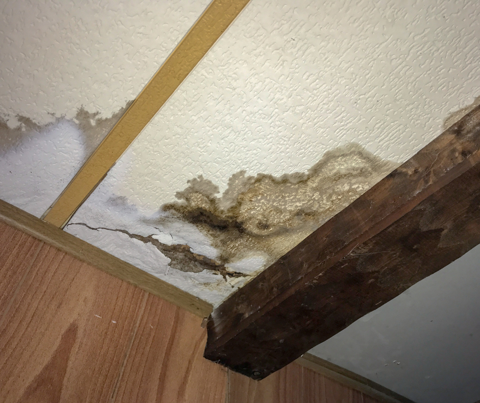 ice dam damage on ceiling 