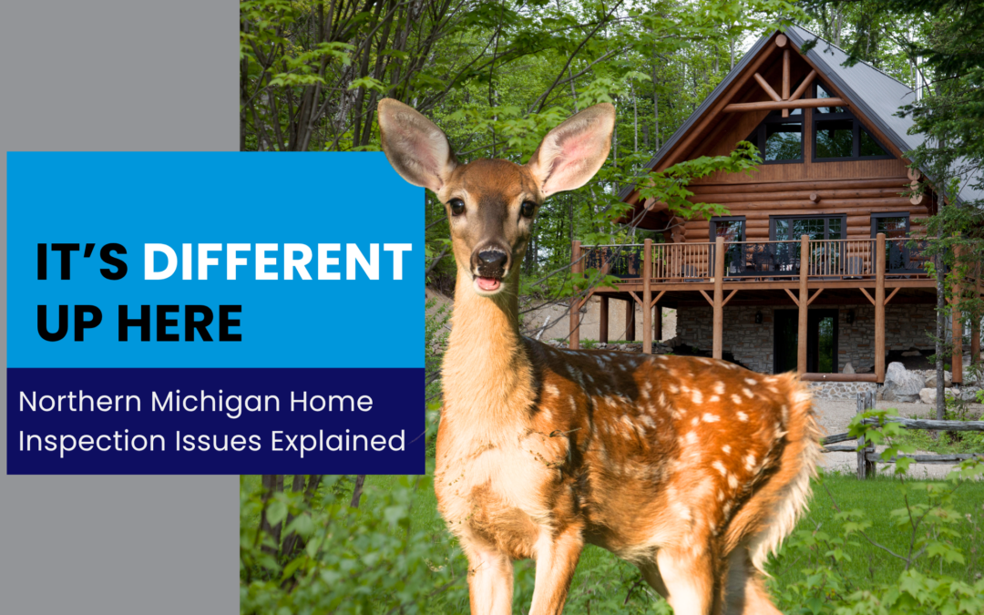 6 Home Inspection Issues Specific to Northern Michigan