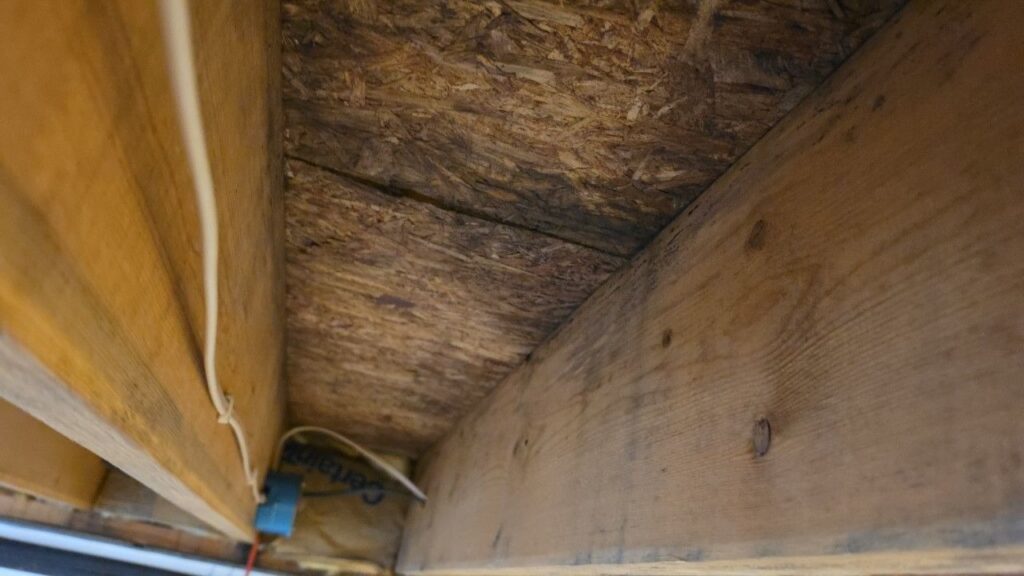moldy subfloor home inspection photo johannesburg mi
